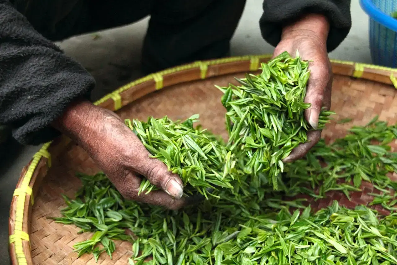 tea farmhouse hand fresh 39347.webp